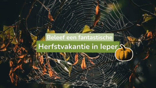  (vergroot foto)