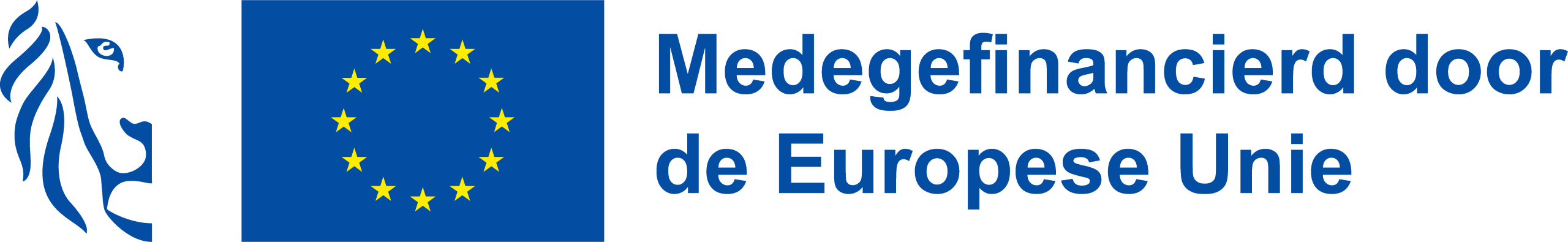 Logo EUWSE