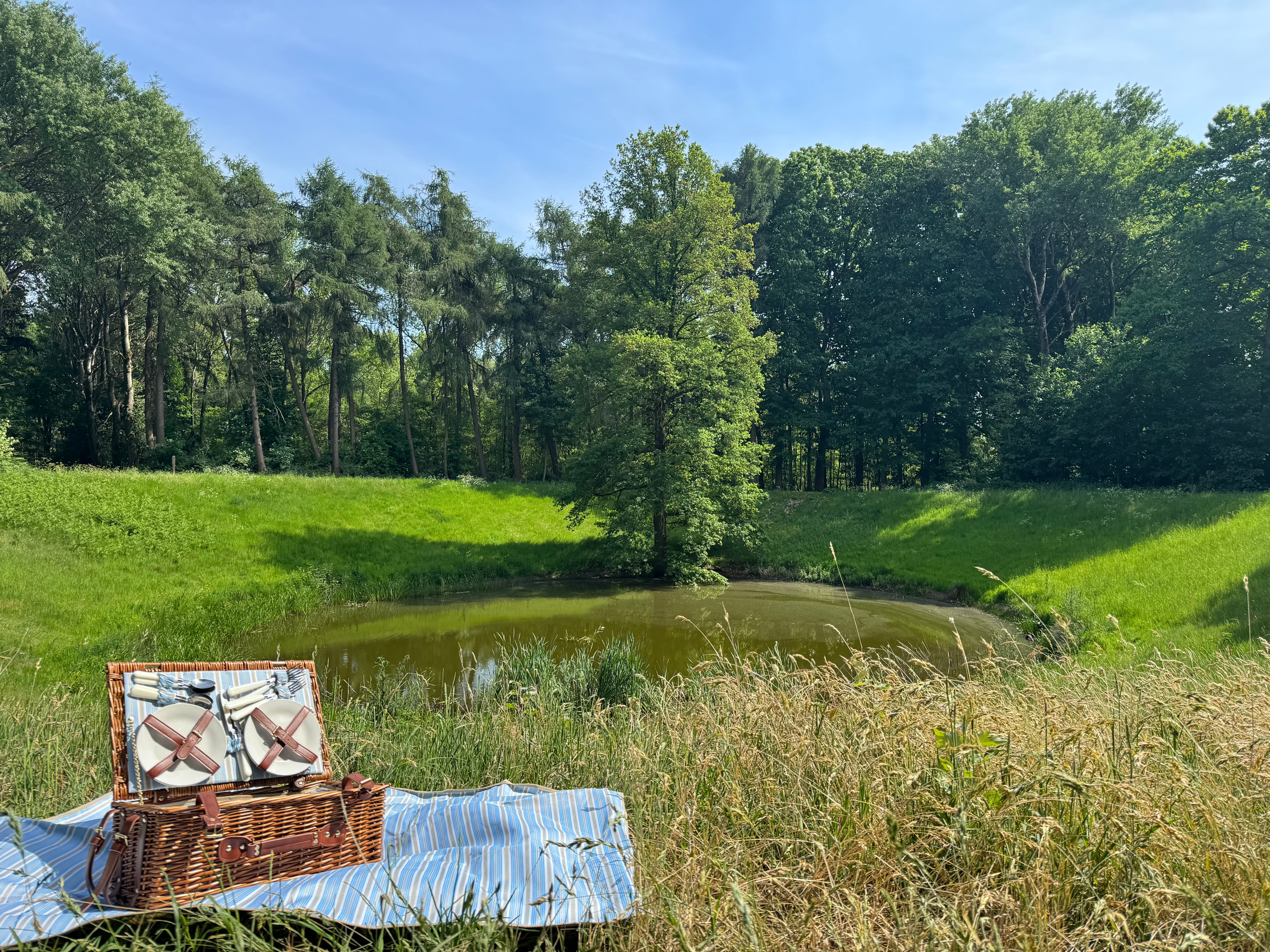 Picknick