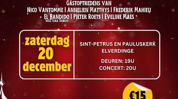Kerstconcert Christmas Unplugged