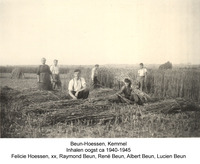 tentoonstelling-veld.jpg