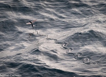 Fotografiecircuit: Christian Clauwers
