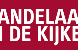 Handelaar in de kijker