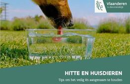 Ook dieren hebben last van de warmte