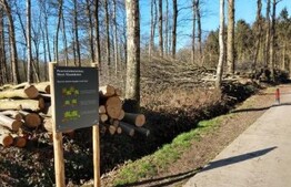 Natuurbeheerplan provinciedomein Palingbeek - Komense Vaart - Katteputten
