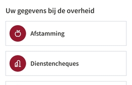 Dienstencheques bestellen? Dit kan nu via de app van de stad Ieper